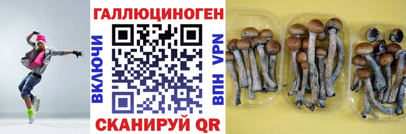 Псилоцибиновые грибы мухоморы цена наркотик Новый Оскол